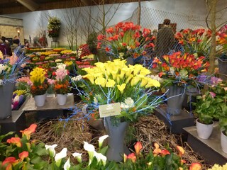 Appartamento per vacanze Callantsoog Ambiente 32