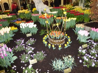 Appartamento per vacanze Callantsoog Ambiente 33