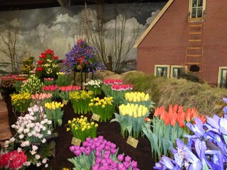 Appartamento per vacanze Callantsoog Ambiente 34