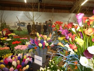 Appartamento per vacanze Callantsoog Ambiente 36