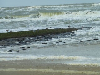 Appartamento per vacanze Callantsoog Ambiente 25