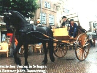 Appartamento per vacanze Callantsoog Registrazione all'aperto 6