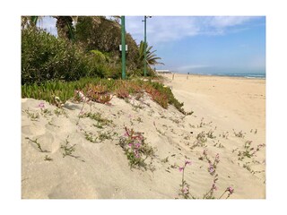 Silvi beach