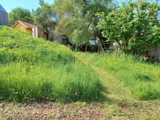Wildblumenwiese tiny house pfalz