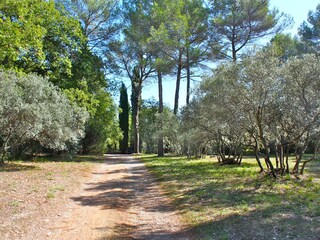Casa per le vacanze Draguignan Registrazione all'aperto 2
