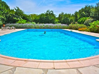 Casa per le vacanze Draguignan Registrazione all'aperto 14