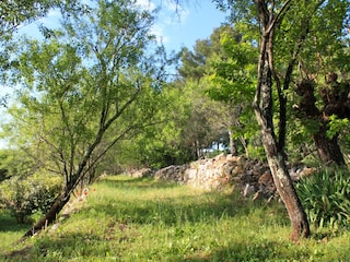 Casa per le vacanze Draguignan Caratteristiche 23