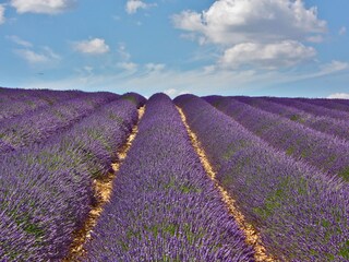 Casa per le vacanze Draguignan Ambiente 35