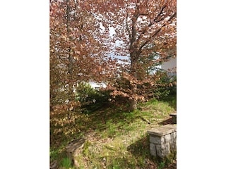 Ferienhaus Burkhardtsdorf Außenaufnahme 9