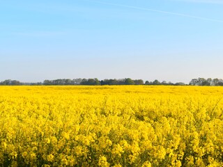 Casa per le vacanze Kramerhof Ambiente 39