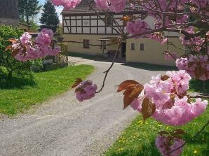 Ferienwohnung Wolfsbergblick - Reinhardtsdorf - image1