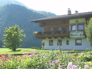 Tischlerhof