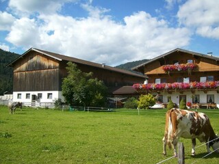 Tischlerhof Südseite