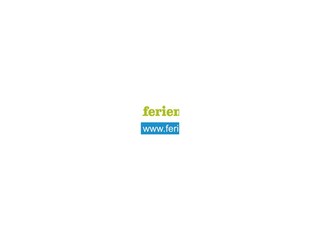 fh-luise-www-logo Kopie