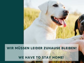 07 Haustiere nicht erlaubt