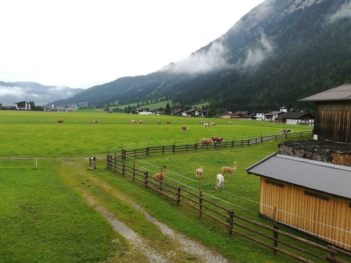 Apartment Prantlhof Ferienwohnungen Achenkirch Company