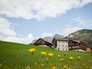 Apartment Mesnerhof-C, CABIN - Bauern-Hütte für 10P - Steinberg am Rofan - image1