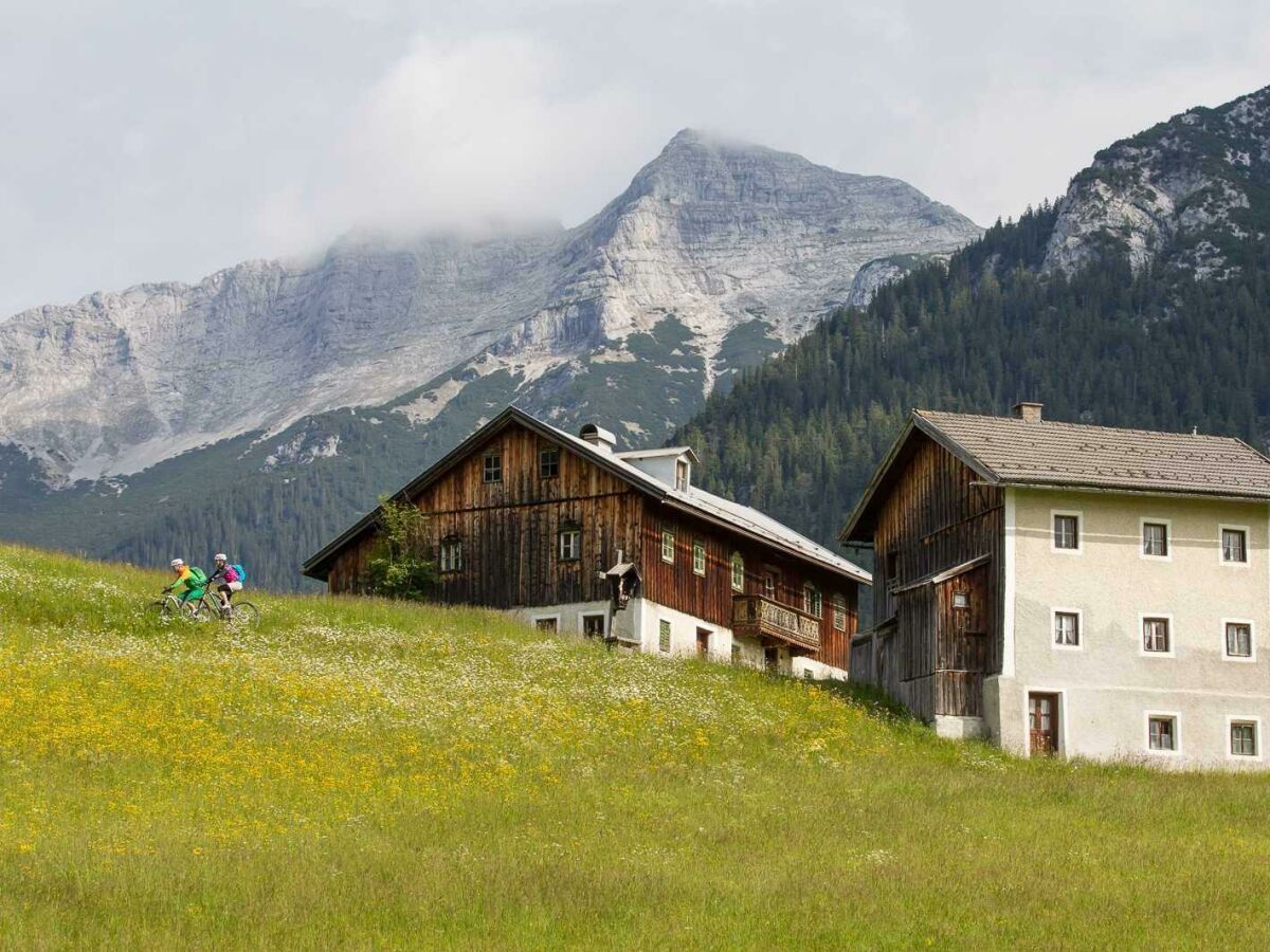 Mesnerhof-C - Sommer