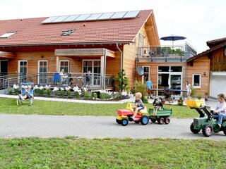 Jede Menge Platz zum rumtollen