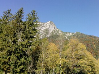 Hausberg "Pleassinger"
