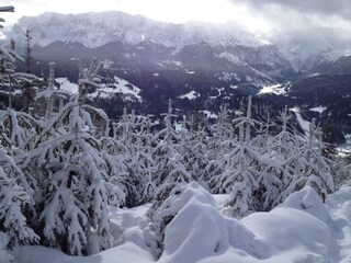 Winterwonderland