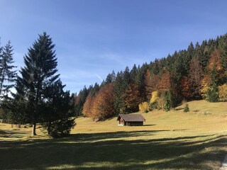 Buckelwiesen bei Krün