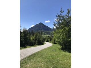 Waldlehrpfad an der Farchanter Alm