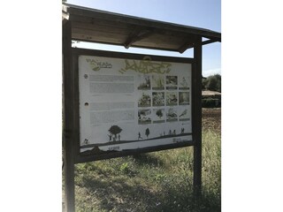 Vakantiehuis Sant Llorenc des Cardassar Omgeving 20