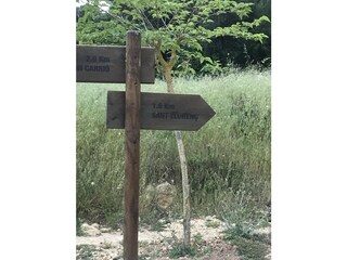 Holiday house Sant Llorenc des Cardassar Environment 22