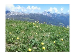 20150607_105540 (1024x768)