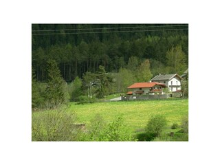 DSCN5526
