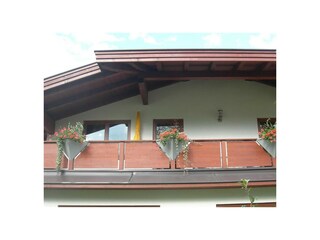 DSCN2952