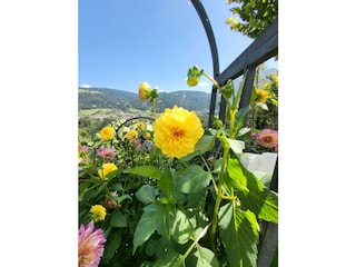 Blumengarten