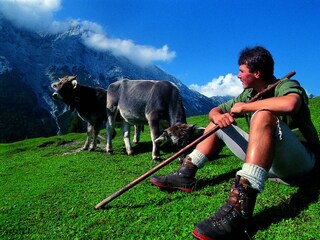 06 Wanderer mit Kühe