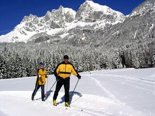 20 Langläufer mit Wilder Kaiser