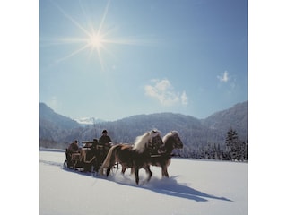 28 Kutschenfahrt Winter