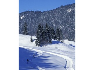 Bilder Winter 2004 05 063