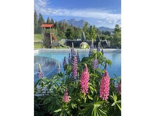 Hotel mit Pool und großer Garten - Wanderurlaub