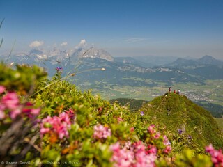 Wanderparadies Kitzbüheler Alpen - Hotel mit Pool