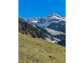 Wildtierpark in der Nähe vom Rosenhof