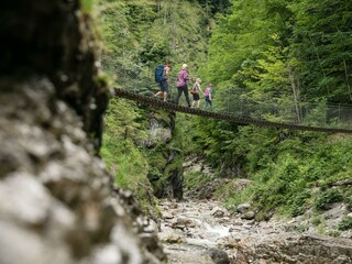 Brücke Griesbachklamm