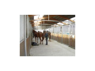 GER00020060031398687_TBX00020050000221441_GER00020