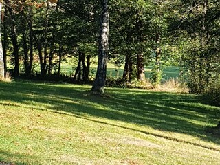 Appartamento per vacanze Erndtebrück Registrazione all'aperto 5