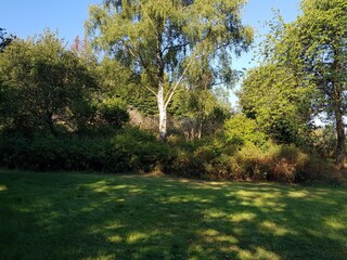 Appartamento per vacanze Erndtebrück Registrazione all'aperto 6