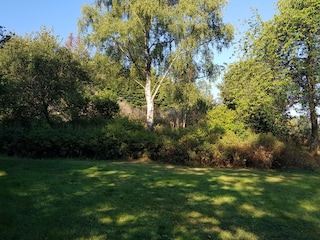 Vakantieappartement Erndtebrück Omgeving 7