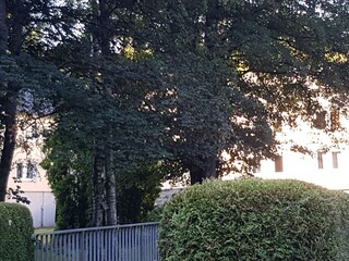Apartamento de vacaciones Erndtebrück Entorno 5