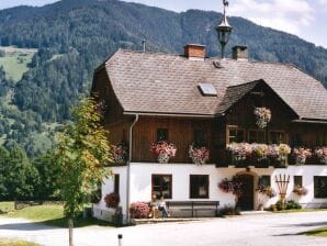 Apartment Brandstätter, Bauernhof - Stein an der Enns - image1