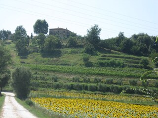 Appartamento per vacanze Ponsacco Ambiente 20