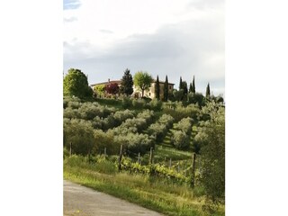 Appartamento per vacanze Ponsacco Registrazione all'aperto 6