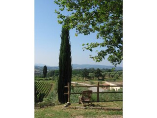 Appartamento per vacanze Ponsacco Registrazione all'aperto 2